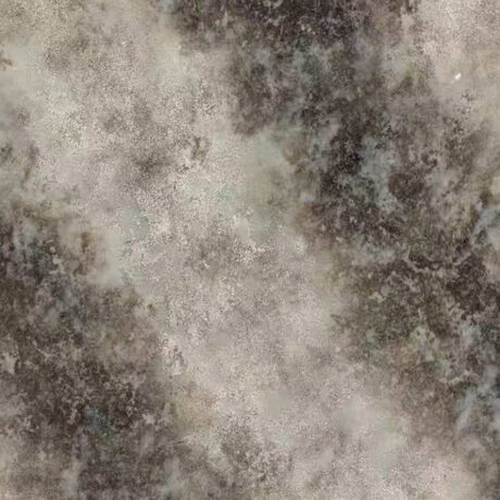 Snow Leopard - MS007SL